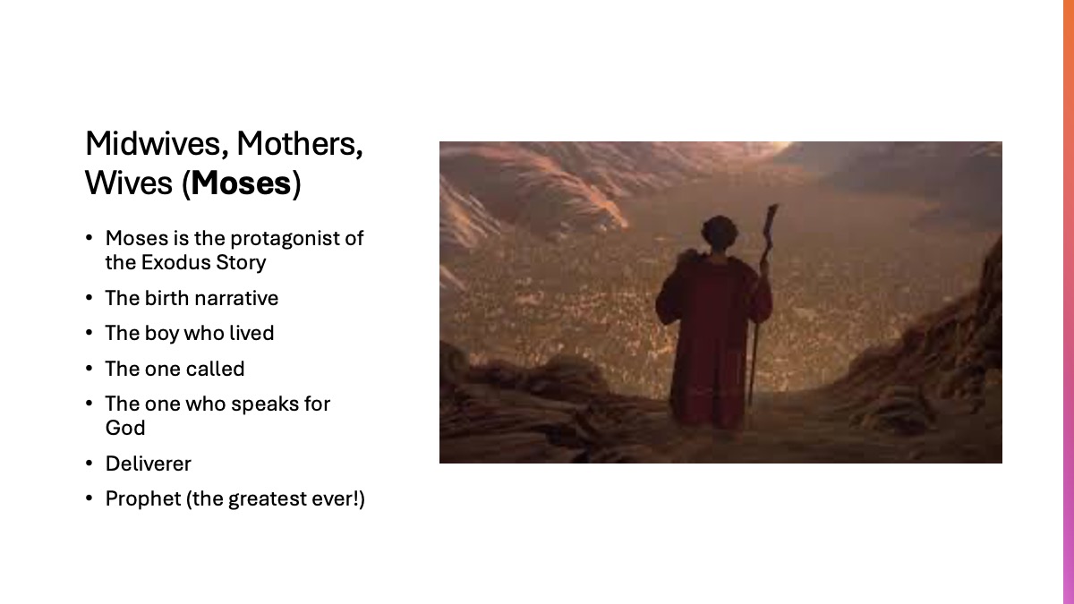 Slide3